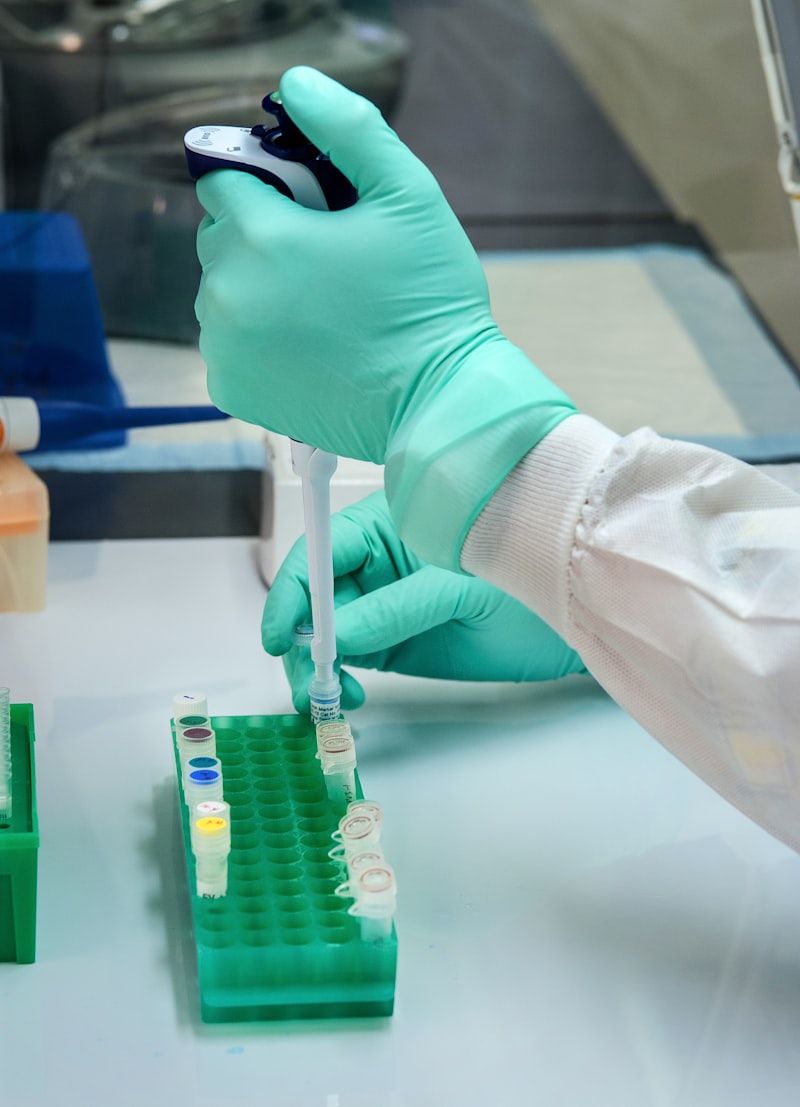Fresh vs Frozen Embryo Transfer: Pros, Cons & What to Choose